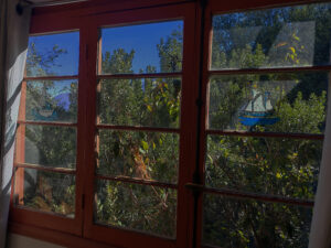 fondo home